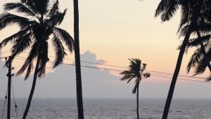 The Beach Heritage by Halcyon Traveltech LLP