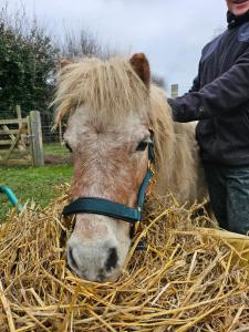 appartement Plume de repos