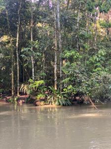 cabaña campestre san pedro
