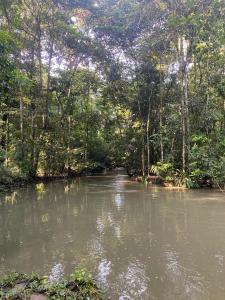 cabaña campestre san pedro