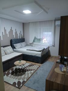 Apartman ANA