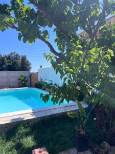 Casa Maly, valle de apalta, Santa Cruz