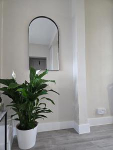 Hackney Roof top Hide Away