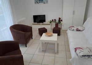 A LOmbre de lAlbizia - Aytré