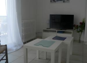 A LOmbre de lAlbizia - Aytré