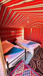 Desert Nights camp