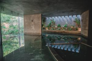 Magical 2 Penthouses & Apartment with 2 Private Pools and Jacuzzi