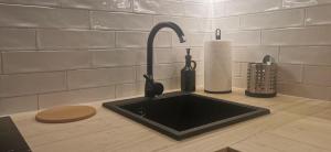 Airport Friendly Studio