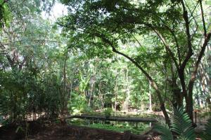 Boko Boko Guesthouse and Porini Restaurant