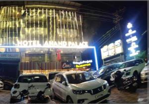 Hotel Anand Palace