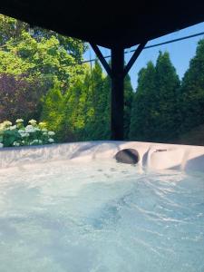 Beautiful Home with Hot tub by YYZ, 20min to CN Tower