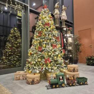 Hotel BESTPRICE Alegría