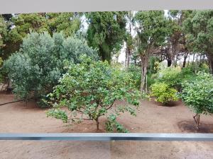 Dar Sabrina Bizerte Corniche