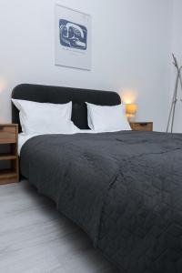 Escape Studio 4 Pollux Militari