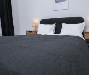 Escape Studio 4 Pollux Militari