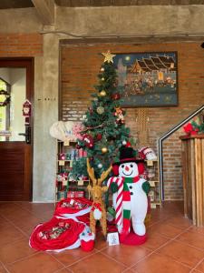 Proud Chiang Mai Poshtel