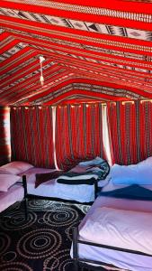 Desert Nights camp