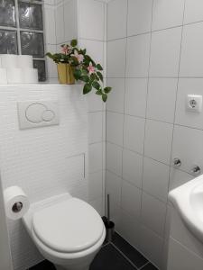 Apartments Deluxe zum Wohlfühlen