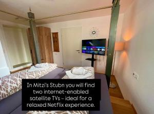 Mitzis Stubn Apartments - pets no extra cost - Bad Goisern - 24-hour self check-in