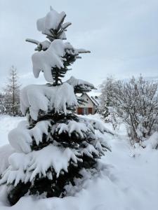 Domki Obłazówka nad Białką