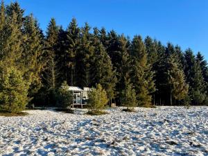 Leśne Siedlisko Wygonin