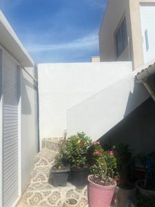 Apartamento aconchego