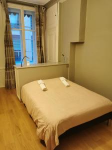 Appartement lumineux en plein coeur de Lyon