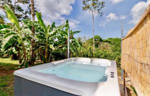 Private rainforest villa up to 8 guests w jacuzzi near Rio Celeste