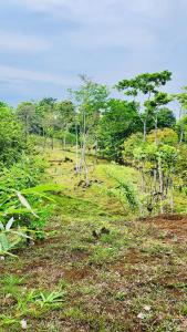 Private rainforest villa up to 8 guests w jacuzzi near Rio Celeste