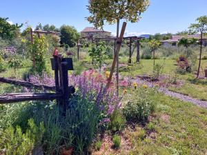 La Gourmandine -Gîtes