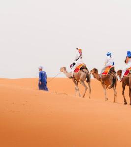 Golden dunes luxury camp