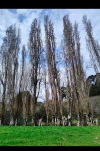 Cabaña con acceso a PLAYA y Naturaleza