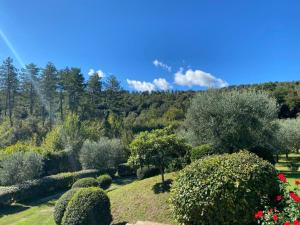 Podere Casanova - Caesius Home Pool & View