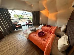 Luxury diamond camp