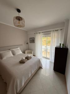 The Best Downtown Albufeira