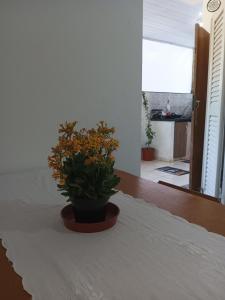 Aconxeguinho espaço secundário privativo c banheiro compartilhado