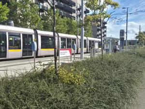 New unique room Close to tramline