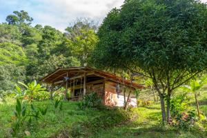 Cinduli Finca Orgánica Cacaotera