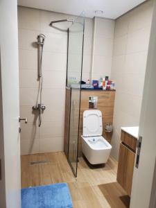 Luxury furnished 1BHK apartment Maria Vista