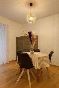 Appartement Très Moderne, Rénover, Triple Frontière, SAINT LOUIS CENTRE