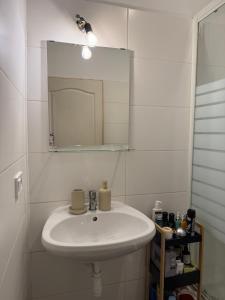 Central 1 Room Apartment in the 2nd District