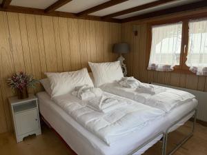 Chalet Montana mit Bergblick