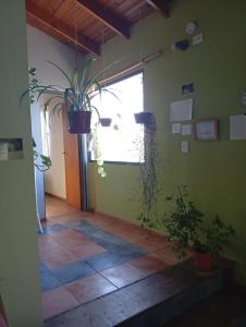 Casa Boreal dptos estilo casa