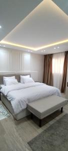 شقه غرفتين بالدقي