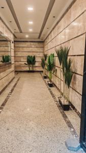 شقه غرفتين بالدقي