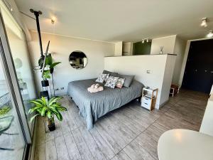 Moderno y hermoso depto Estudio en Montemar