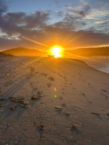 Bemm River Bungalows - Bellbird Abode - Bungalow 1