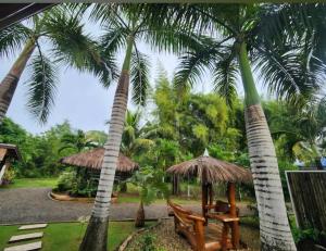 The Three Shooting Stars