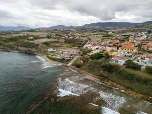 A 150 meter long mare, 2 fish img39