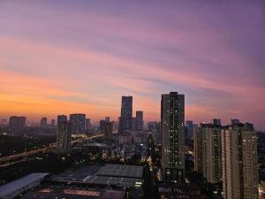 Vinhomes DCapital Paradise Apartment